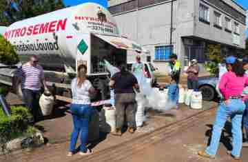 Guaraniaçu - Secretaria de Agricultura lança Programa de Inseminação para fortalecer a produção de leite